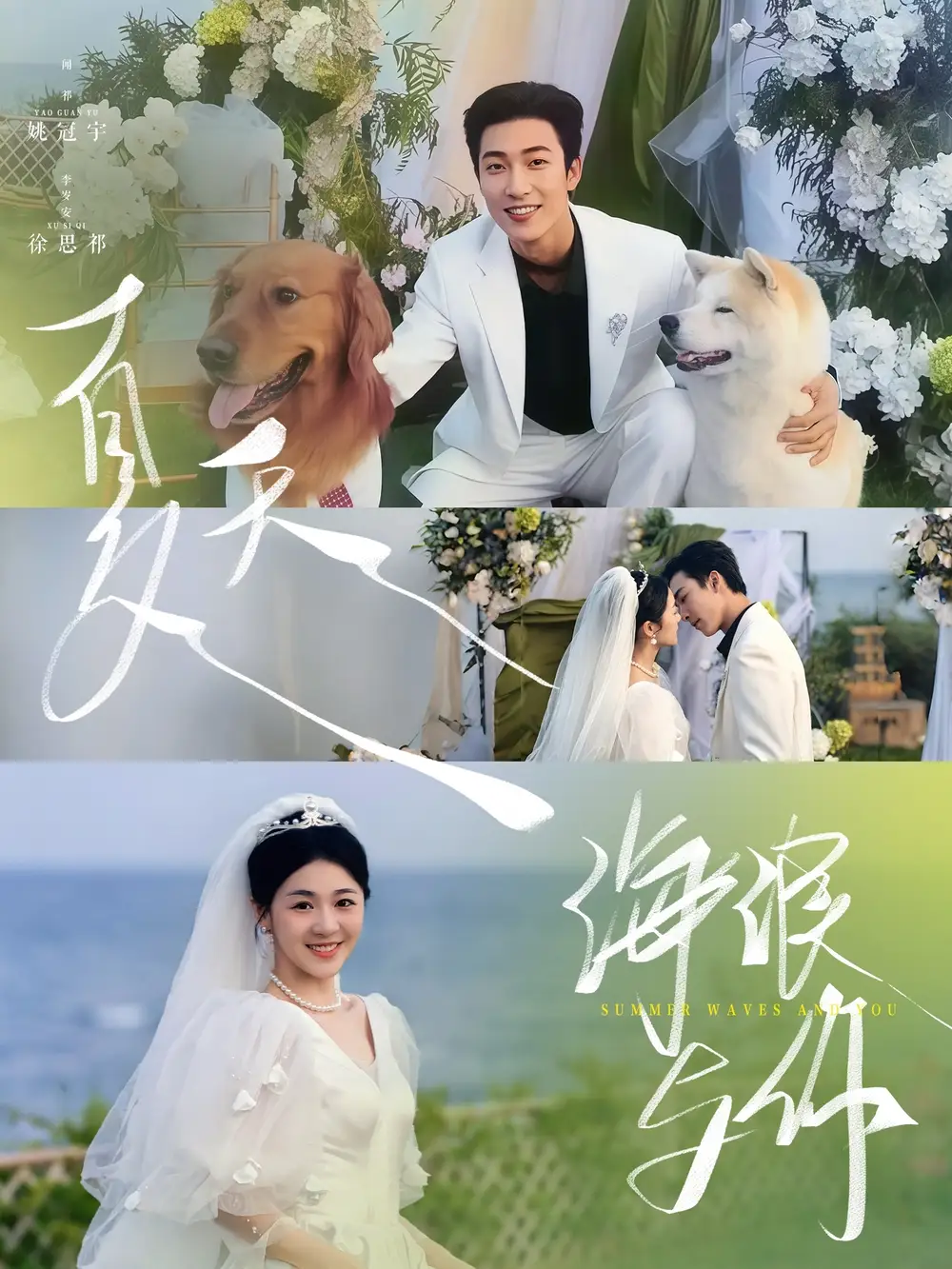 《夏天海浪与你（76集）》短剧全集免费在线看