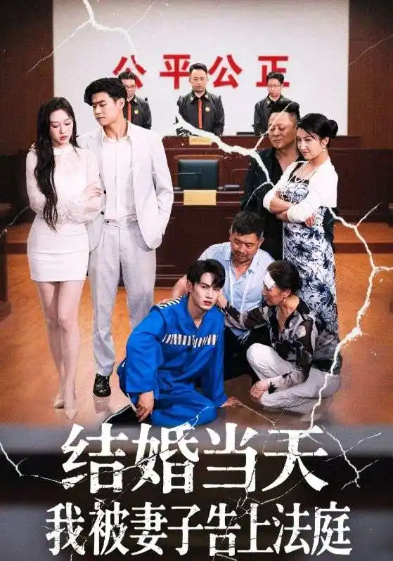 《结婚当天我被妻子告上法庭（30集）王惠》短剧全集免费在线看