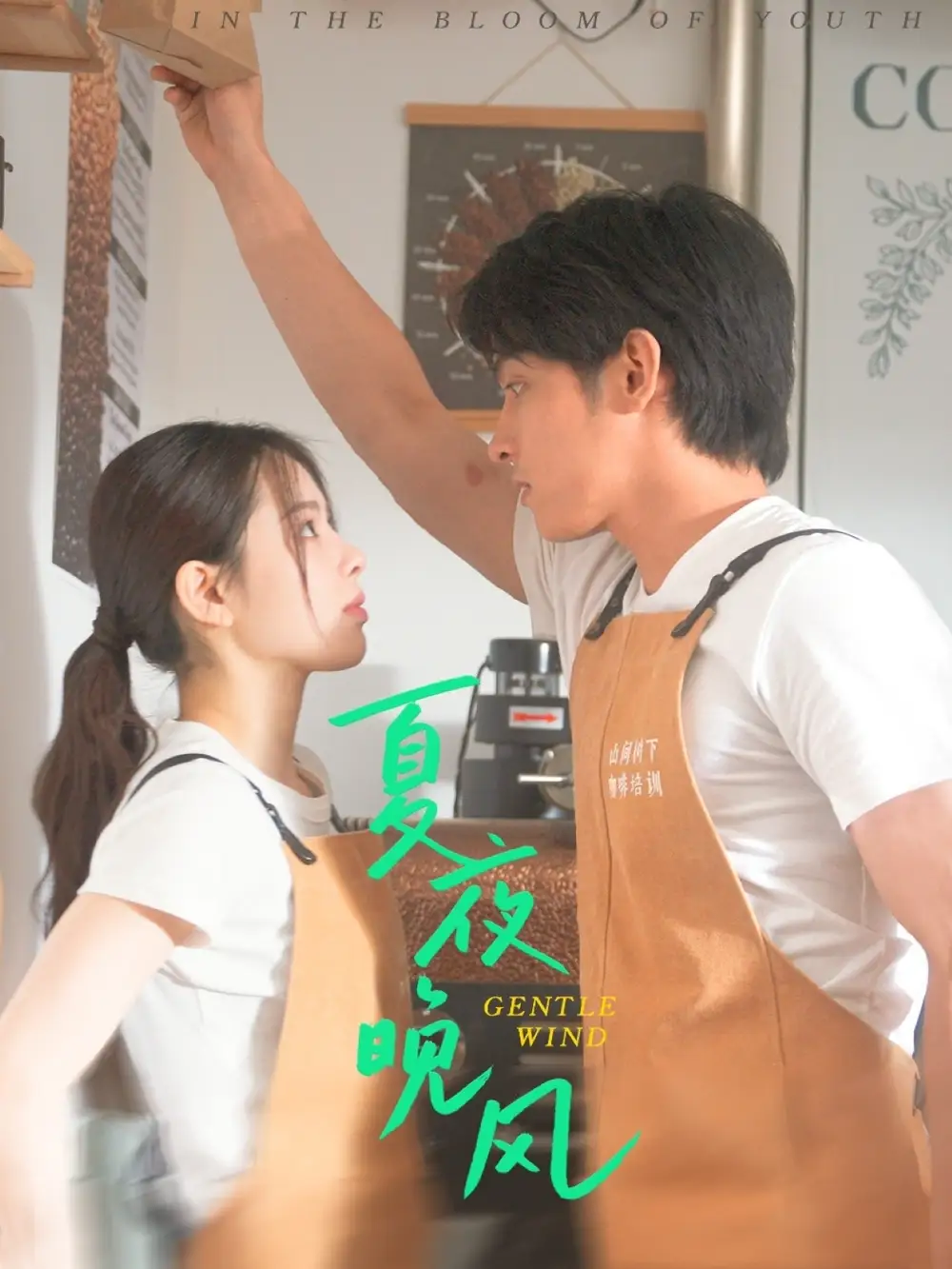 《夏夜晚风（12集）》短剧全集免费在线看