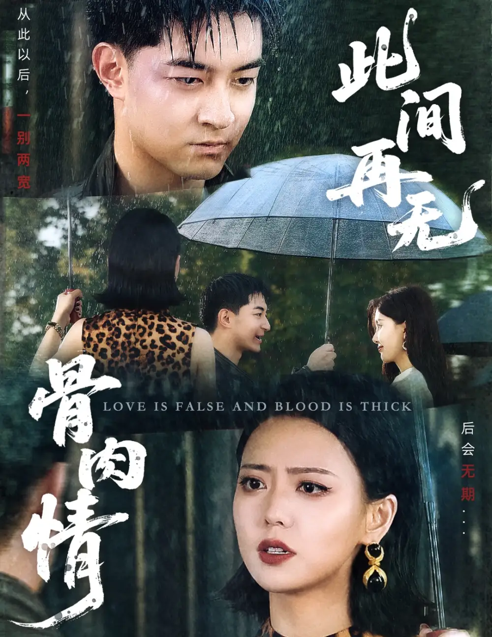 《此间再无骨肉情（60集）高岫楠》短剧全集免费在线看