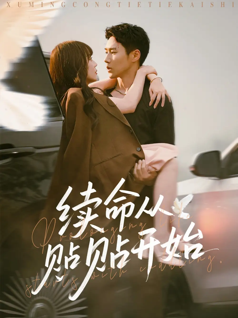 《续命从贴贴开始（66集）》短剧全集免费在线看