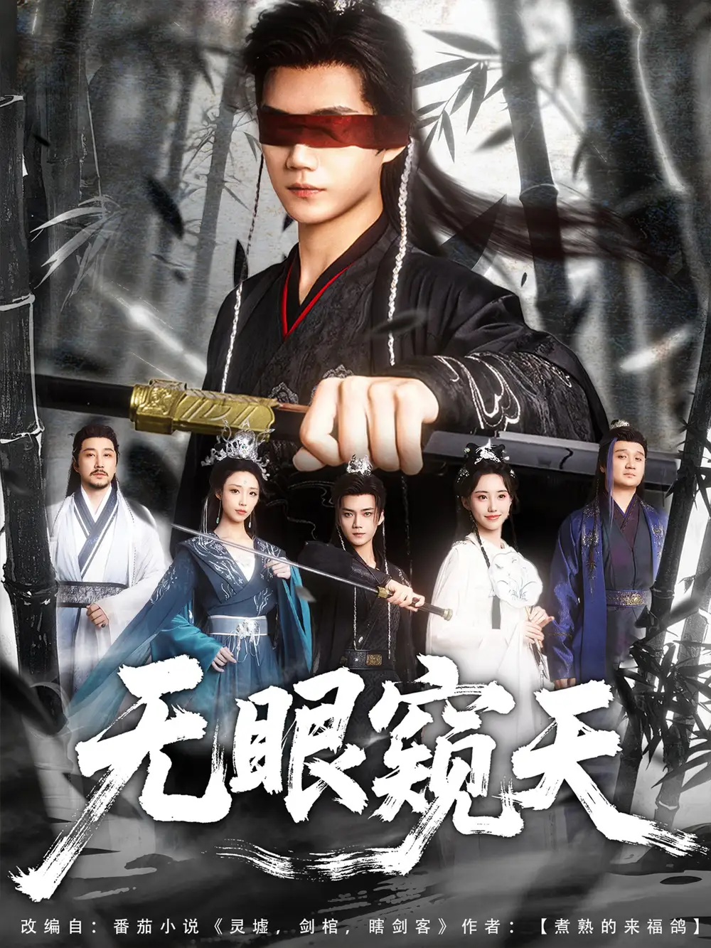 《无眼窥天（80集）》短剧全集免费在线看