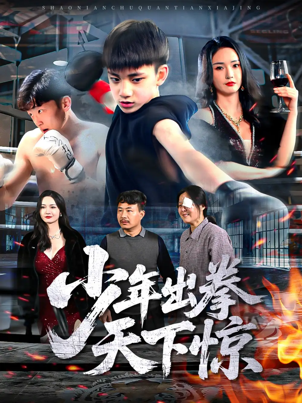 《少年出拳天下惊（60集）》短剧全集免费在线看