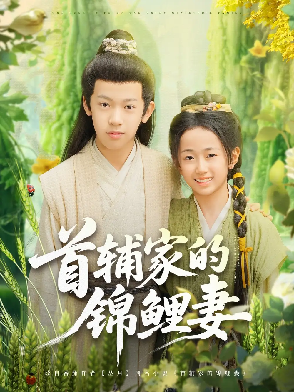 《首辅家的锦鲤妻（82集）》短剧全集免费在线看