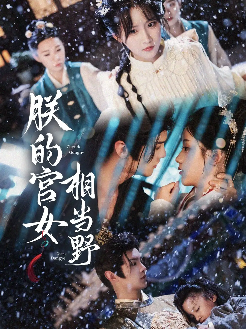 《朕的宫女相当野（62集）王燕飞》短剧全集免费在线看
