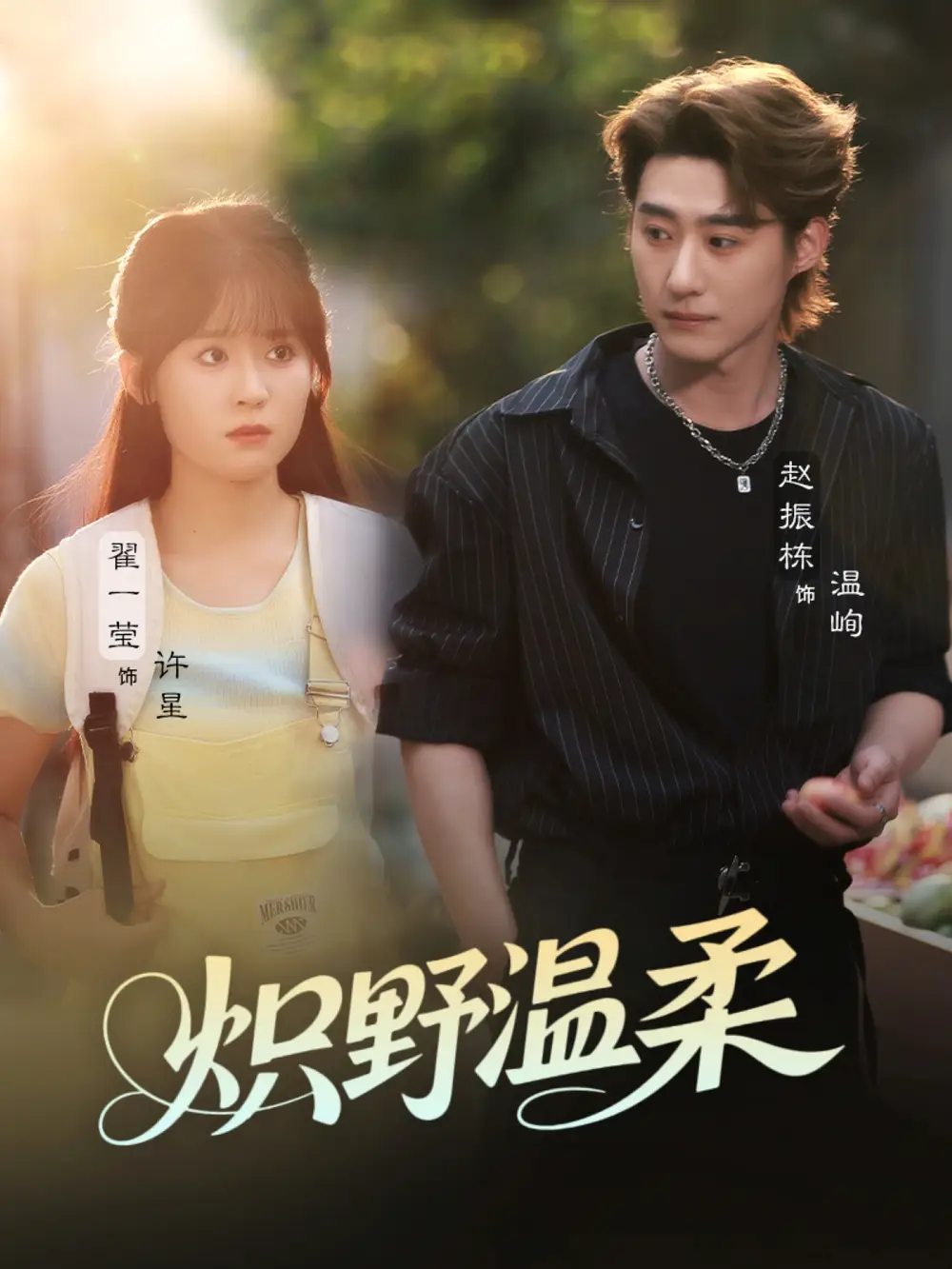 《炽野温柔（72集）翟一莹&赵振栋&刘雨杉（与三）》短剧全集免费在线看