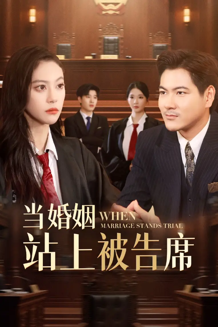《当婚姻站上被告席（30集）刘林&刘涵飞》短剧全集免费在线看