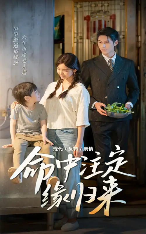 《命中注定缘归来（63集）》短剧全集免费在线看