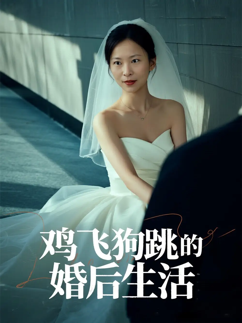 《鸡飞狗跳的婚后生活（28集）》短剧全集免费在线看