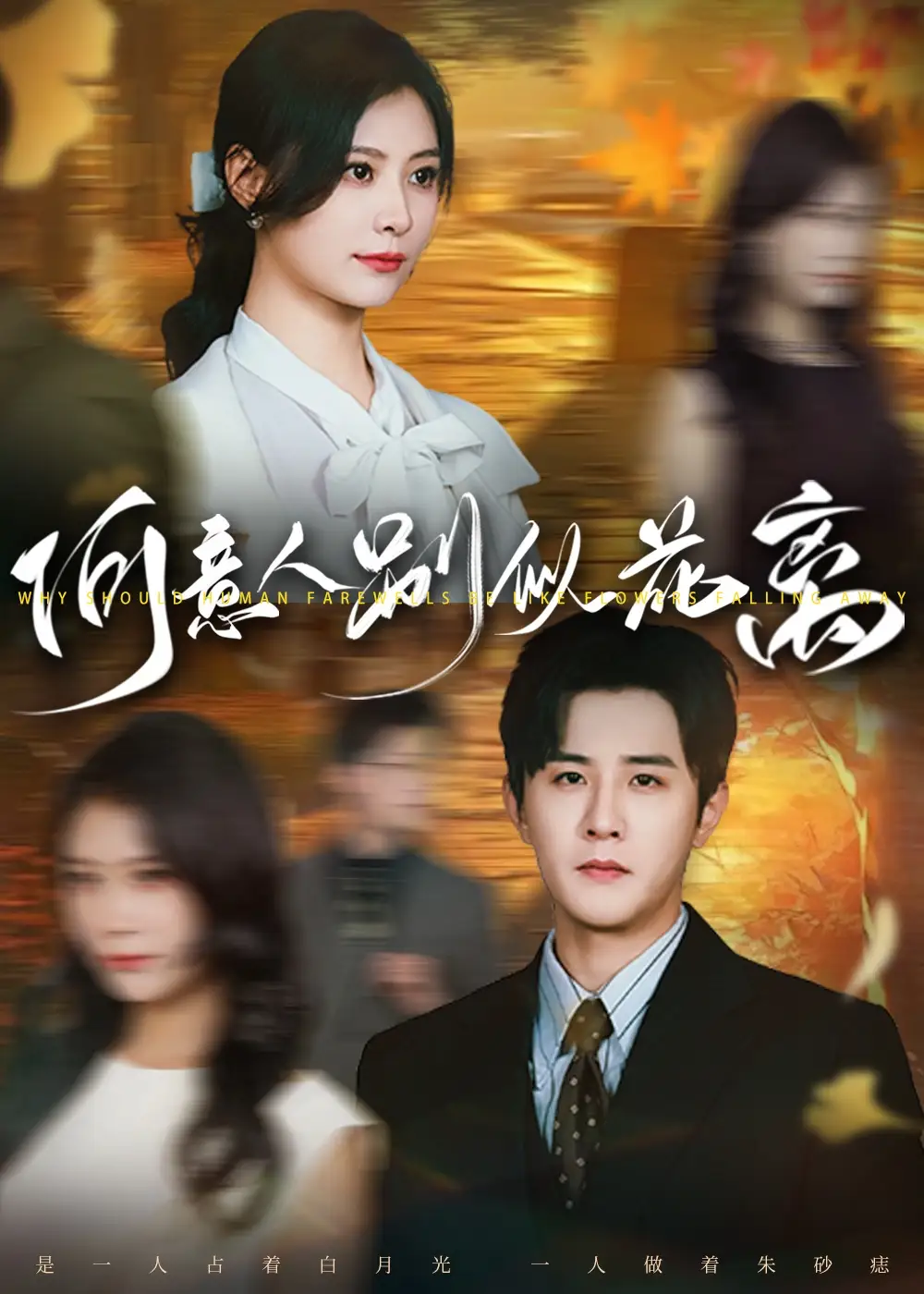 《何意人别似花离（61集）》短剧全集免费在线看