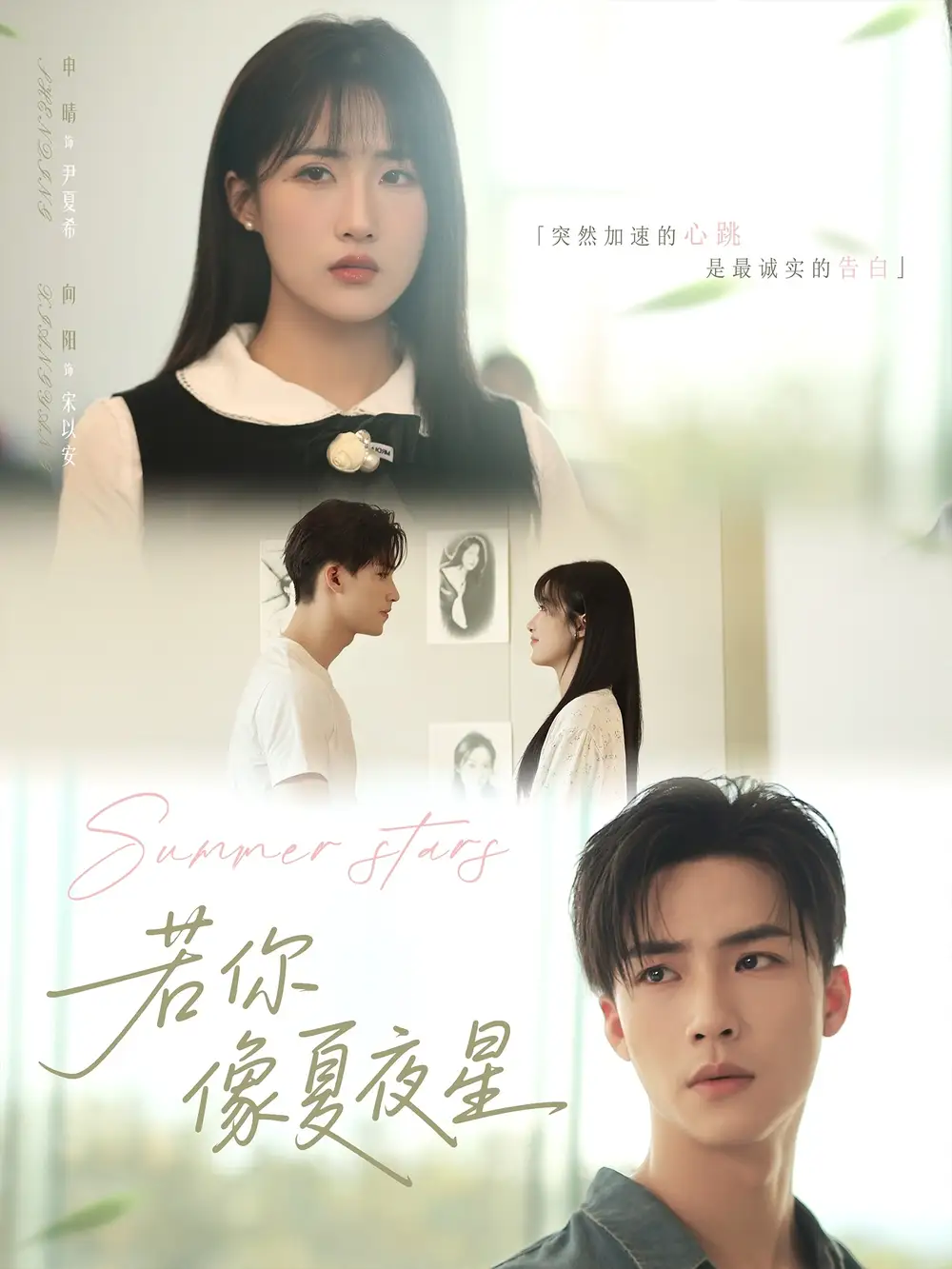 《若你像夏夜星（81集）申晴》短剧全集免费在线看
