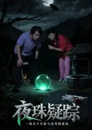 《夜珠疑踪（30集）》短剧全集免费在线看