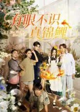 《有眼不识真锦鲤（35集）刘凯&尹玲》短剧全集免费在线看