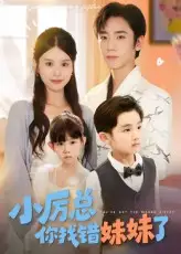 《小厉总你找错妹妹了（52集）》短剧全集免费在线看