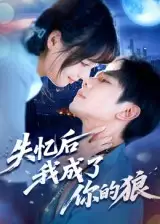 《失忆后我成了你的狼（70集）》短剧全集免费在线看