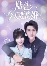 《陆总今天要离婚（81集）陈凯洲&李泫逸》短剧全集免费在线看