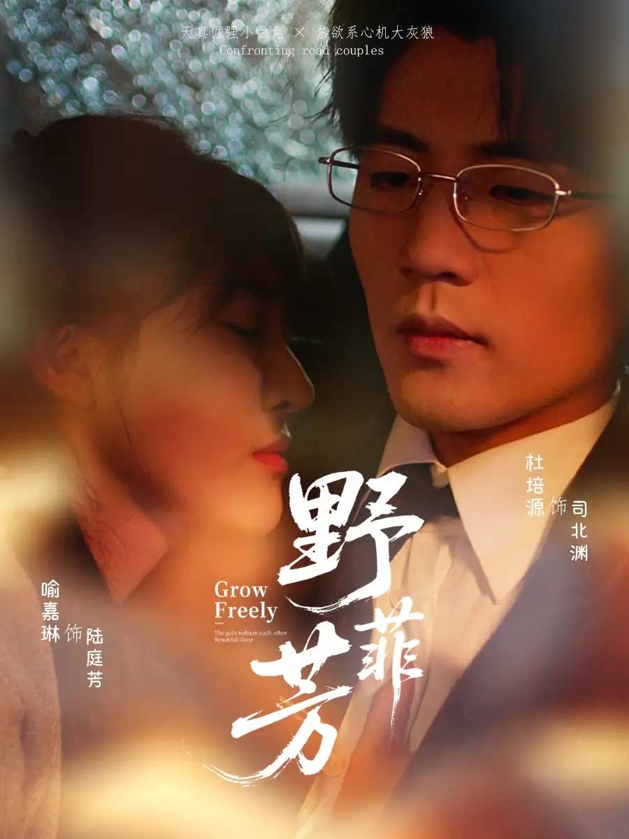 《野芳菲（60集）喻嘉琳＆杜培源》短剧全集免费在线看