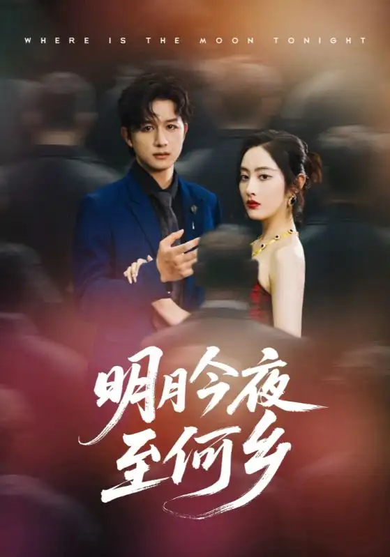 《明月今夜至何乡（70集）》短剧全集免费在线看