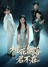 《我下跪感谢小三替我怀孕&桃花散落君不在（52集）》短剧全集免费在线看