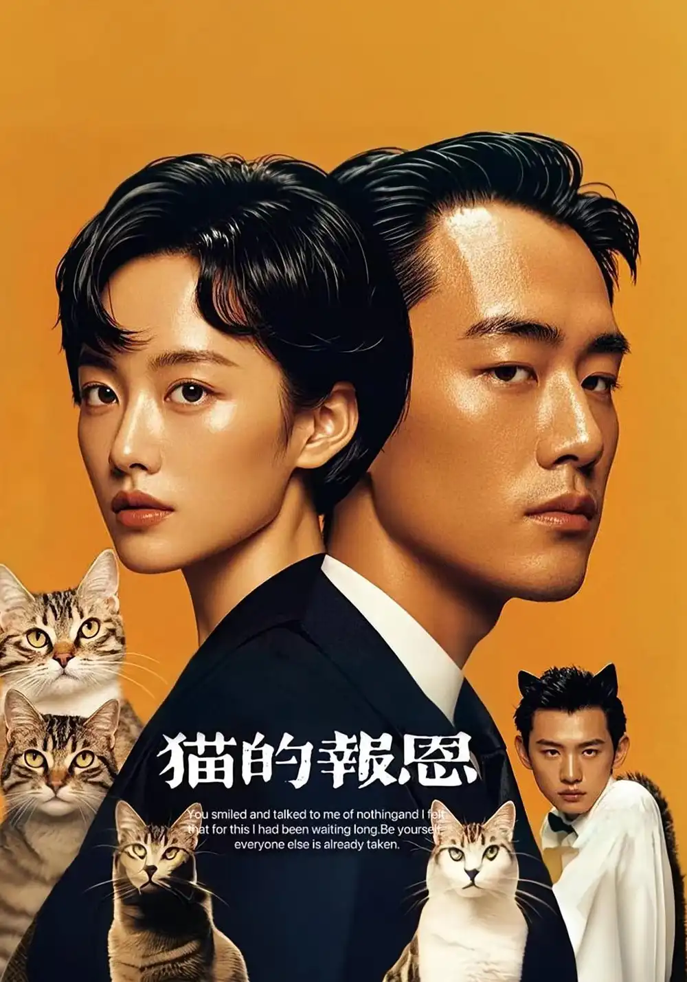 《猫的报恩（60集）》短剧全集免费在线看