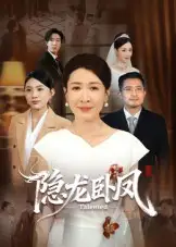 《隐龙卧凤（72集）》短剧全集免费在线看
