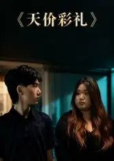 《天价彩礼（20集》短剧全集免费在线看
