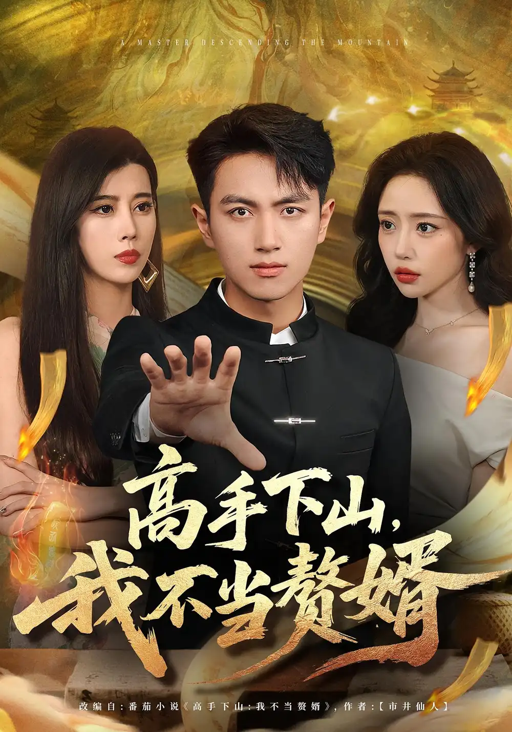 《高手下山我不当赘婿（66集）》短剧全集免费在线看