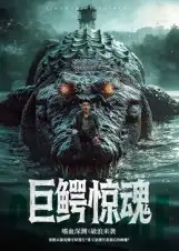 《巨鳄惊魂（85集）沈建》短剧全集免费在线看