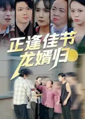 《正逢佳节龙婿归（42集）》短剧全集免费在线看