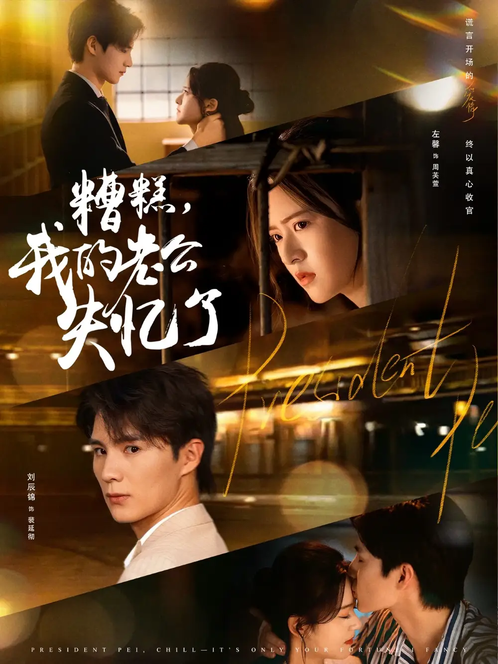《糟糕我的老公失忆了（80集）》短剧全集免费在线看
