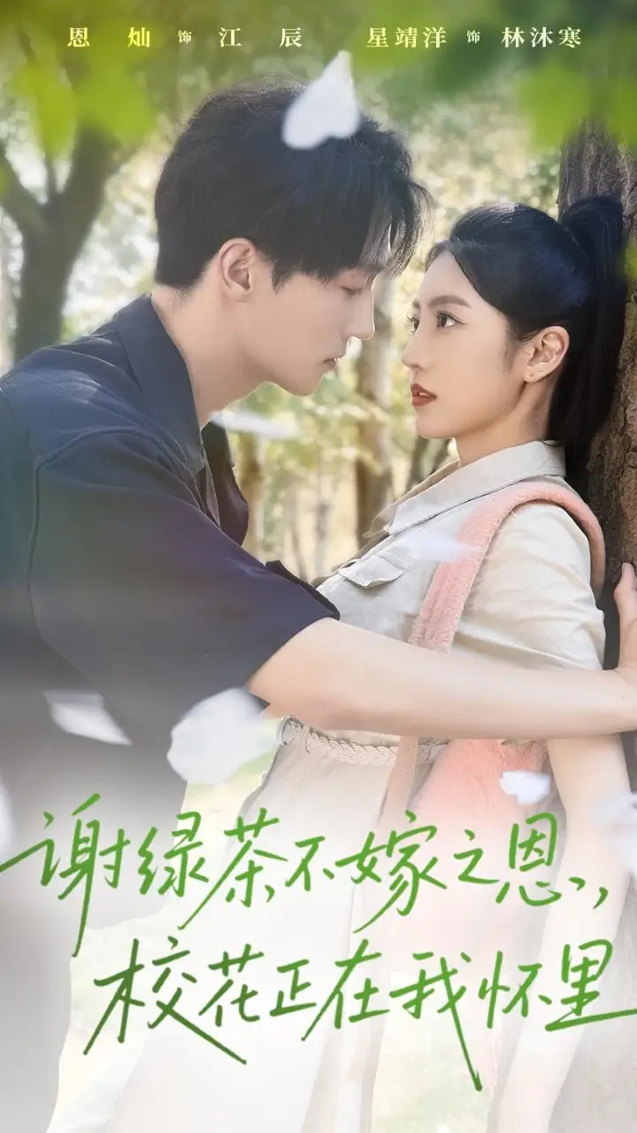 《谢绿茶不嫁之恩校花正在我怀里（56集）》短剧全集免费在线看