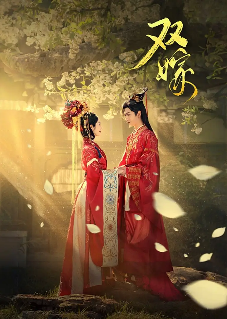 《双嫁（60集）》短剧全集免费在线看