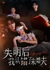 《失明后我认错了未婚夫（34集）》短剧全集免费在线看