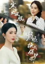 《寒舍出凤凰：妈妈，换我保护你&寒舍出凤凰妈妈换我保护你（75集）》短剧全集免费在线看