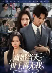 《离婚当天世上再无我（60集）》短剧全集免费在线看