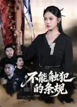 《不能触犯的条规（50集）》短剧全集免费在线看