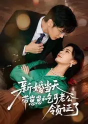 《新婚当天带崽崽和乞丐老公领证了（60集）》短剧全集免费在线看