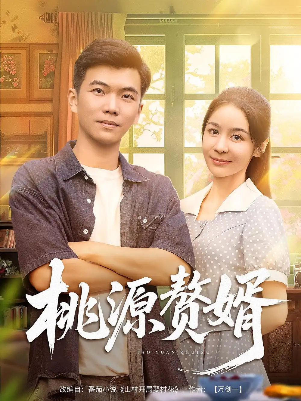 《桃源赘婿（80集）》短剧全集免费在线看