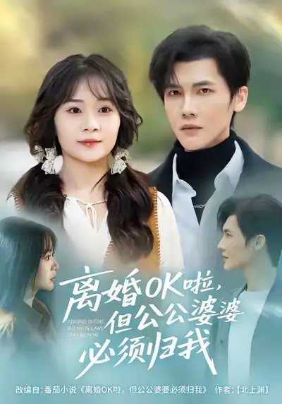 《.离婚OK啦，但公公婆婆必须归我（81集）》短剧全集免费在线看