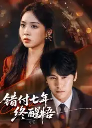 《错付七年终醒悟（62集）》短剧全集免费在线看
