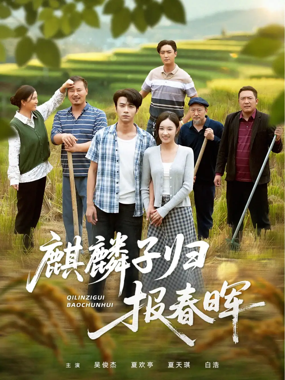 《.麒麟子归报春晖（36集）》短剧全集免费在线看