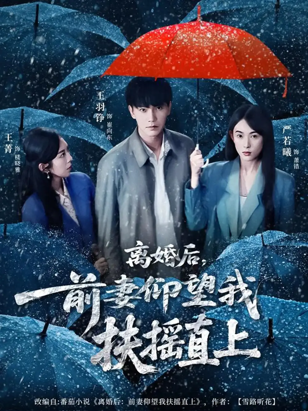 《离婚后前妻仰望我扶摇直上（84集）王羽铮＆严若曦》短剧全集免费在线看