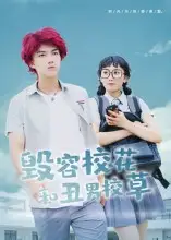 《毁容校花和丑男校草（91集）》短剧全集免费在线看