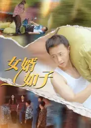 《女婿如子（40集）》短剧全集免费在线看