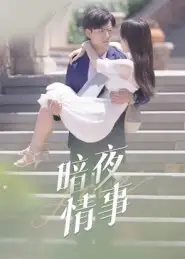 《暗夜情事（100集）》短剧全集免费在线看