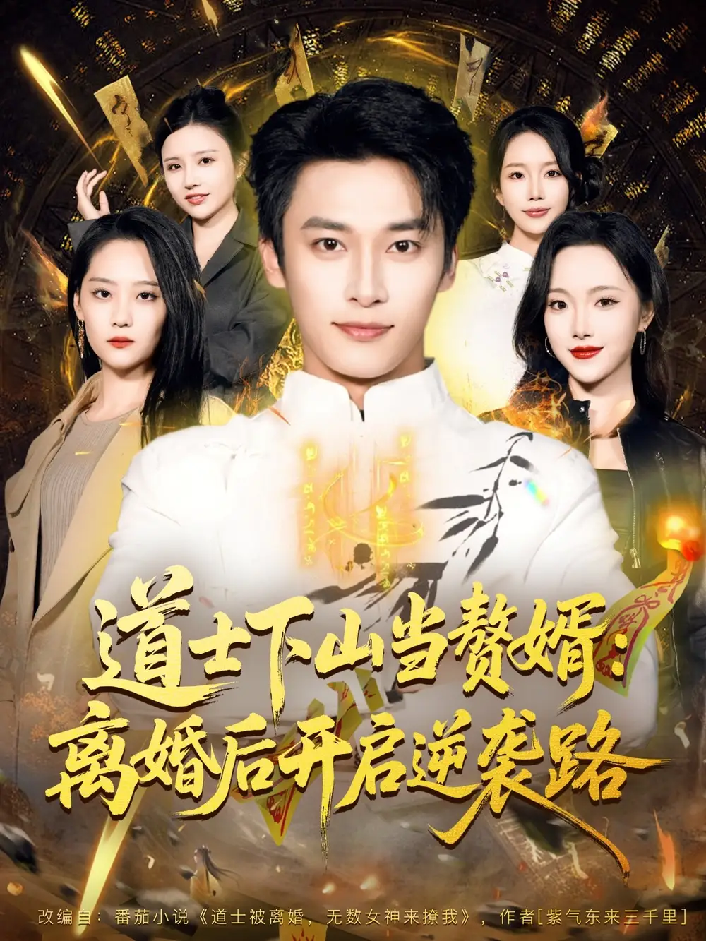 《道士下山当赘婿：离婚后开启逆袭路（75集）王泊渊＆宋宇欣》短剧全集免费在线看