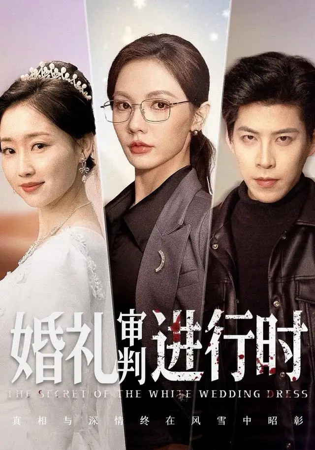 《婚礼审判进行时（62集）王为洋＆倪若芸》短剧全集免费在线看