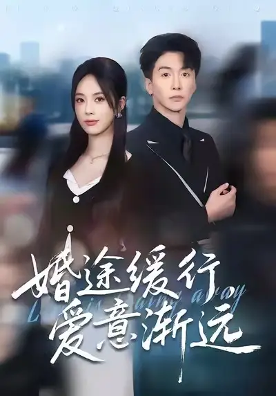 《婚途缓行，爱意渐远（60集）刘承林＆郑千亦》短剧全集免费在线看