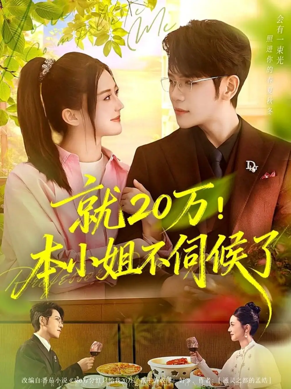 《就20万本小姐不伺候了（60集）杨彦光＆李家圆子》短剧全集免费在线看
