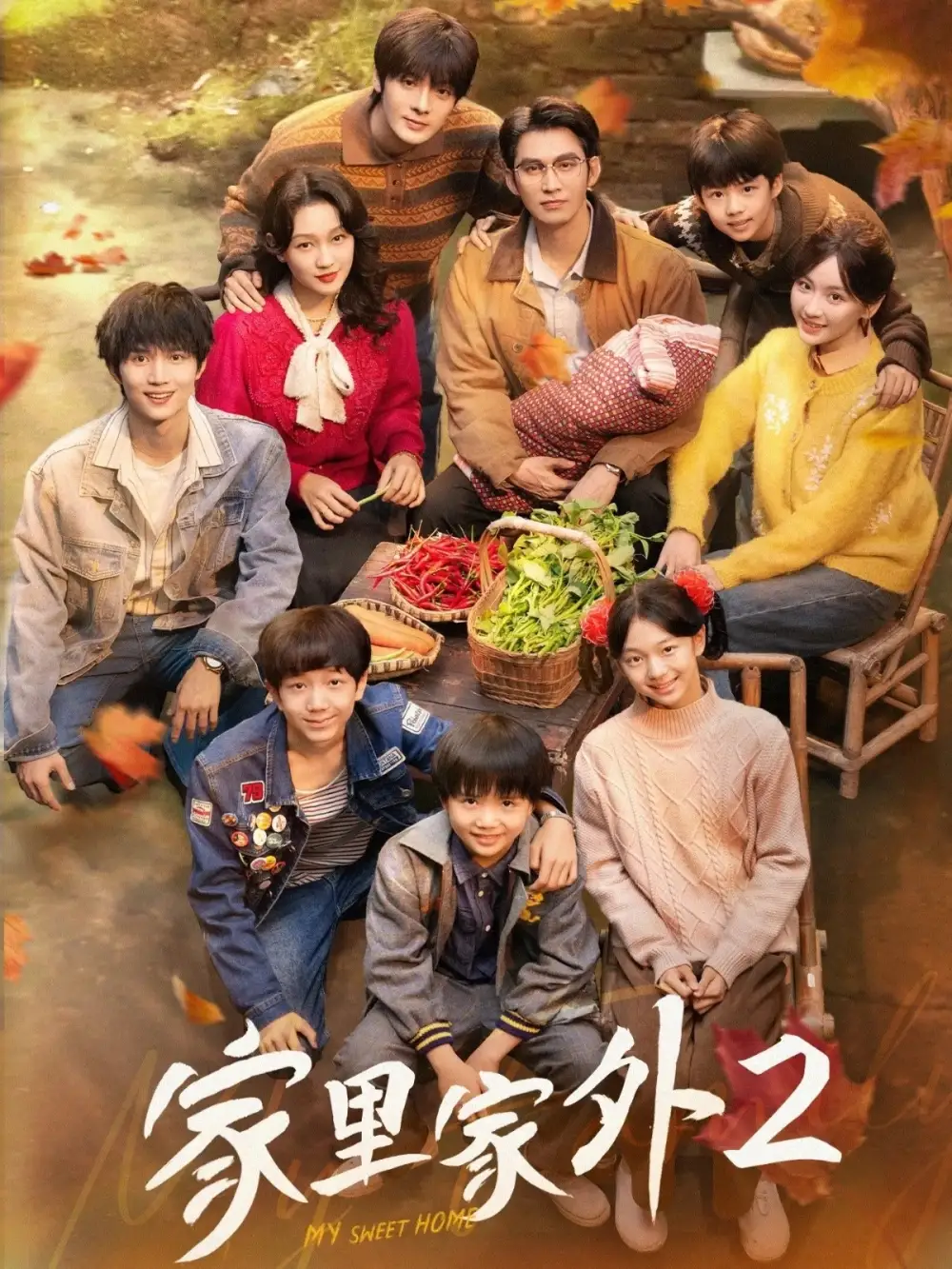 《家里家外2（111集）孙艺燃&王道铁》短剧全集免费在线看